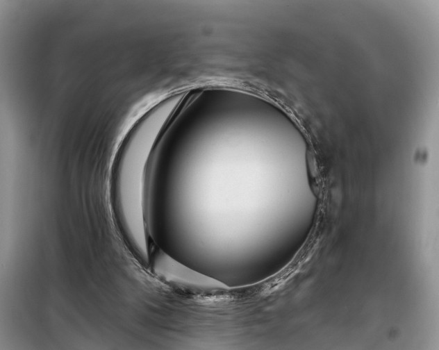 X0000097970104200804071109