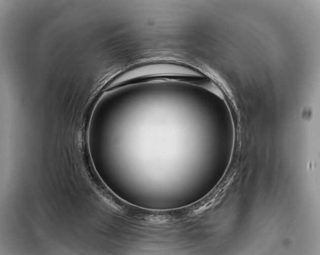 X0000097970105200804071109