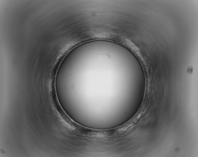 X0000097970106200804071109