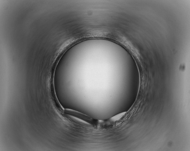 X0000097970107200804071109