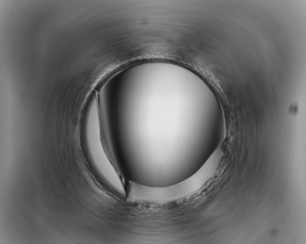 X0000097970108200804071109