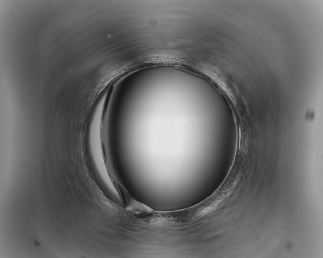 X0000097970109200804071109