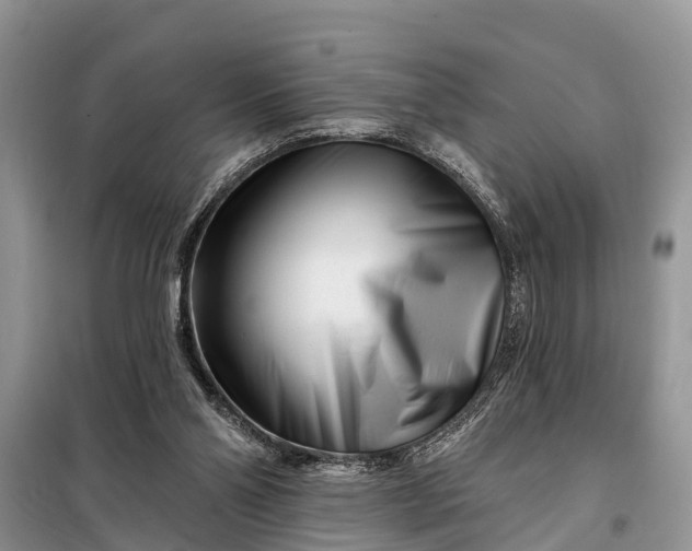 X0000097970110200804071109