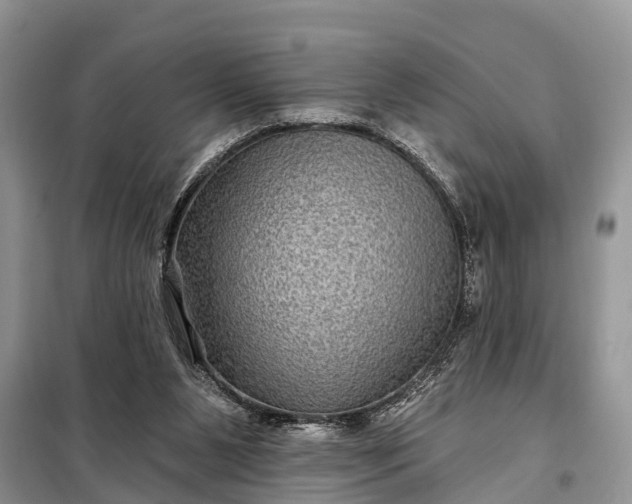 X0000097970111200804071109