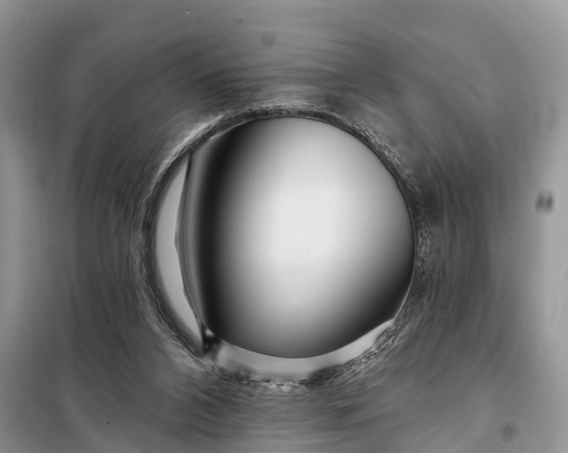 X0000097970112200804071108