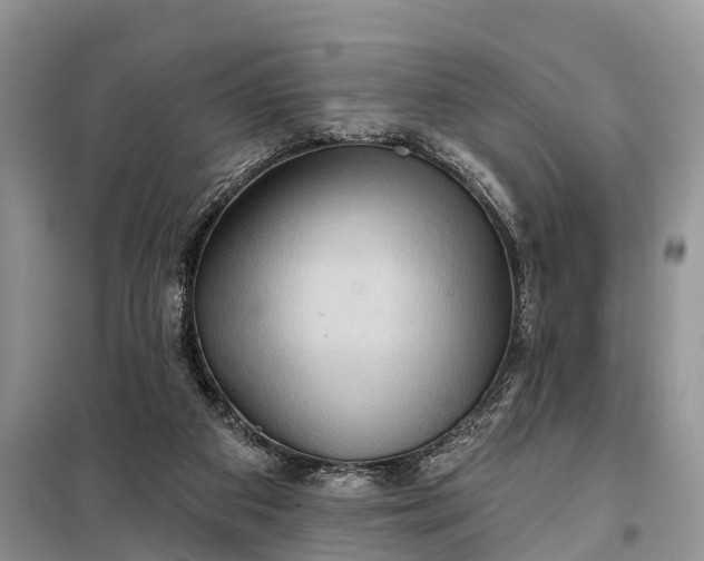 X0000097970113200804071108