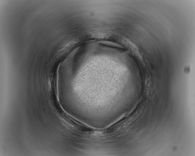 X0000097970114200804071108