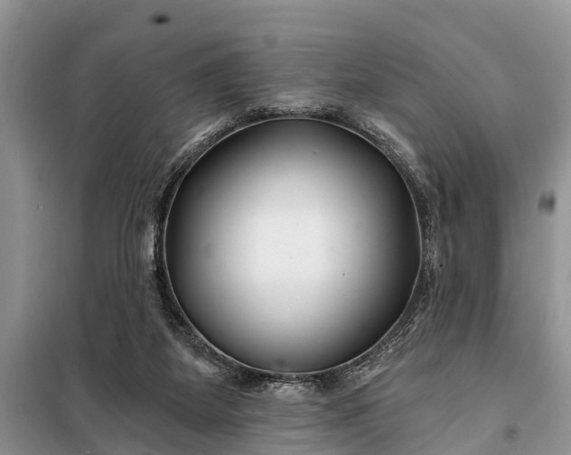 X0000097970115200804071108