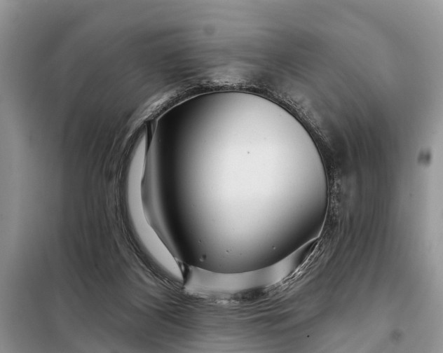X0000097970116200804071108