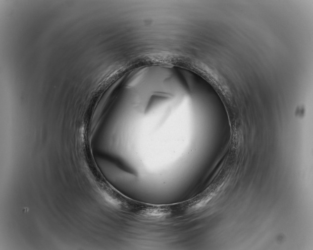 X0000097970117200804071108