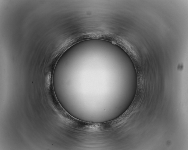 X0000097970118200804071108
