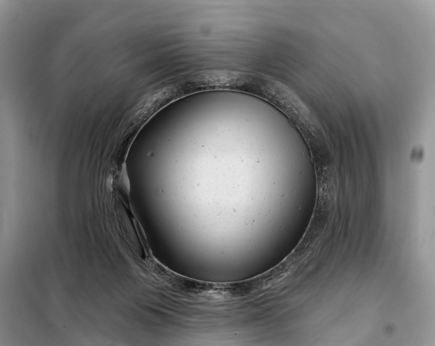 X0000097970119200804071108