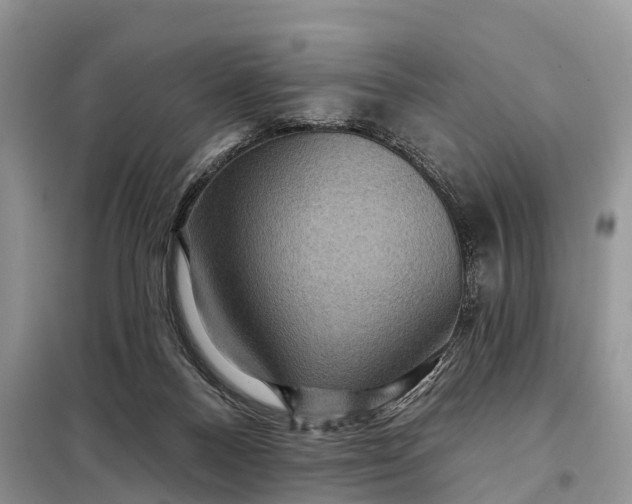 X0000097970120200804071108