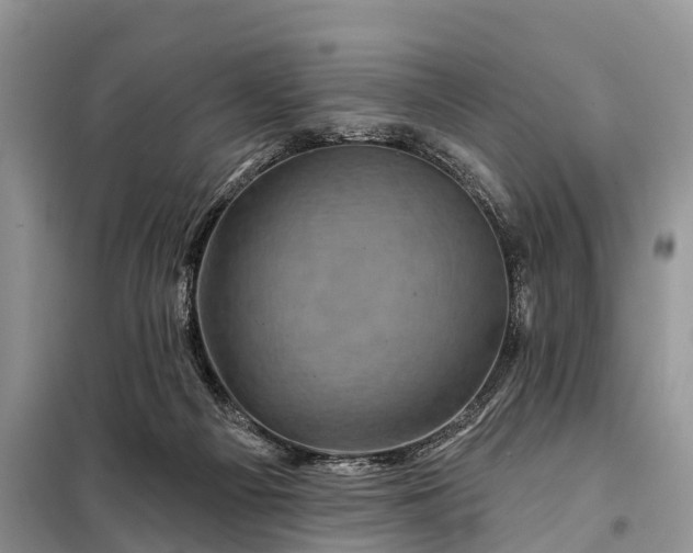 X0000097970121200804071108
