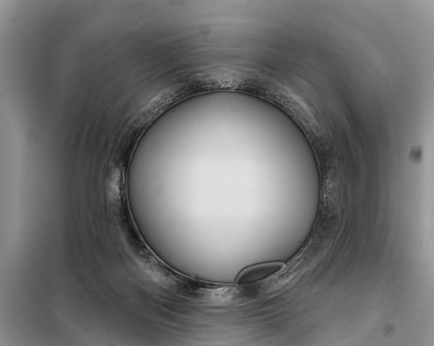 X0000097970122200804071108