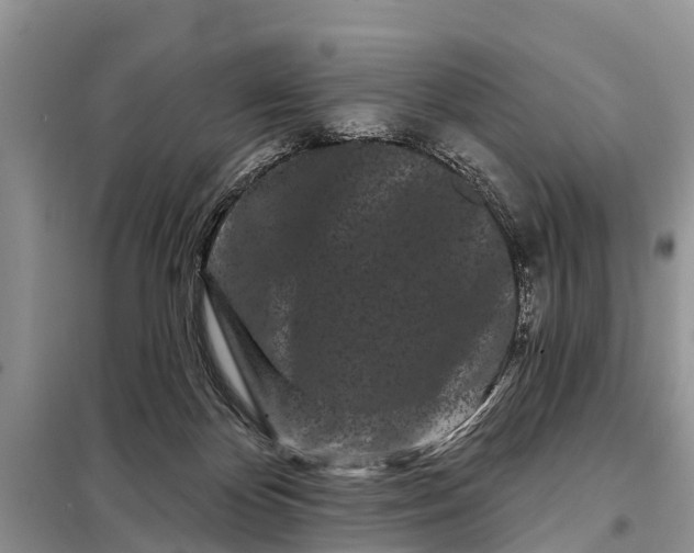 X0000097970124200804071108