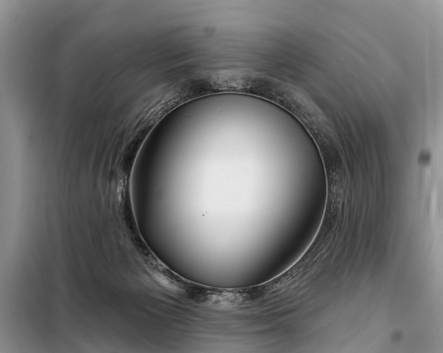 X0000097970125200804071108