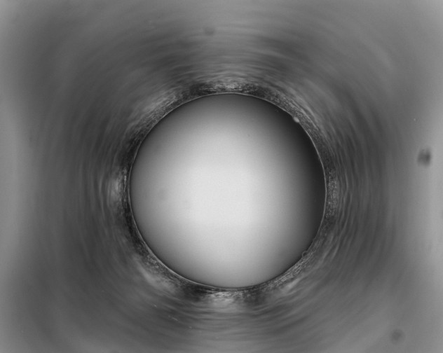X0000097970126200804071108