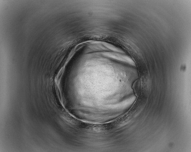 X0000097970127200804071108