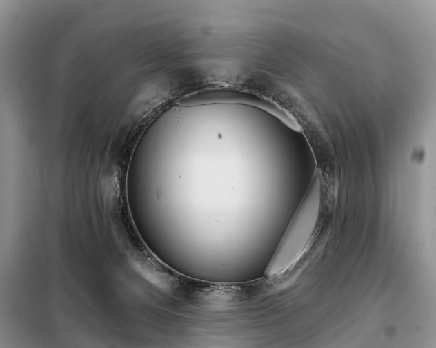 X0000097970128200804071108
