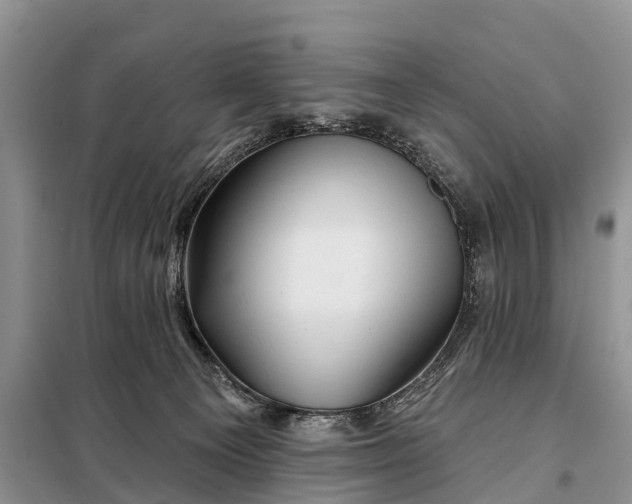 X0000097970129200804071108