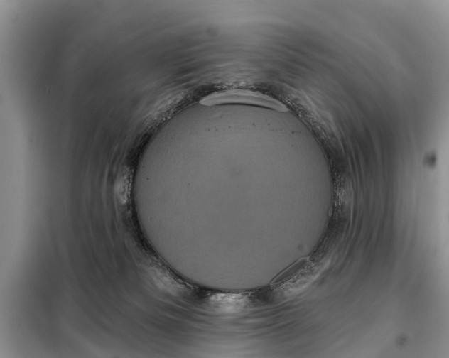 X0000097970133200804071108