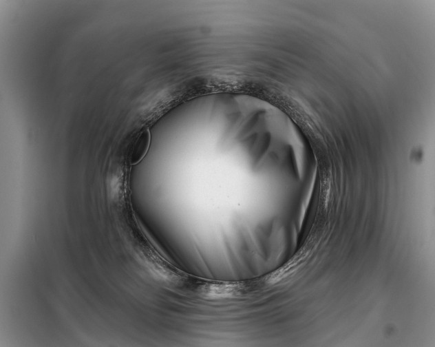 X0000097970134200804071108