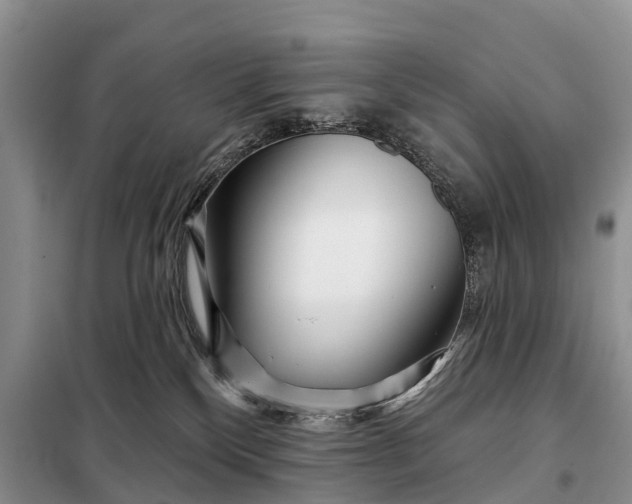 X0000097970136200804071108
