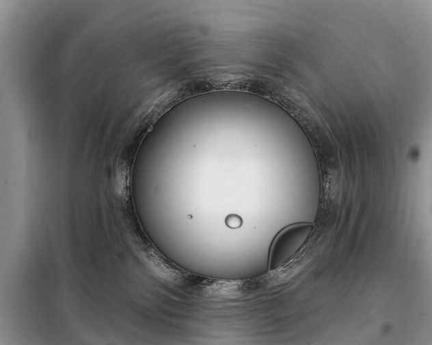 X0000097970138200804071108