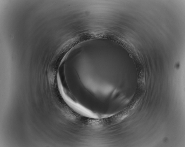 X0000097970139200804071108