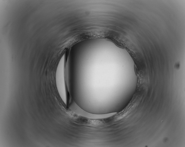 X0000097970141200804071108