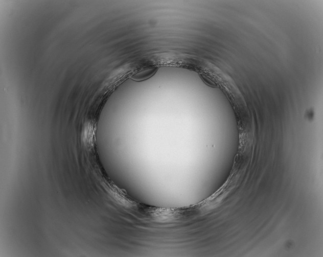 X0000097970142200804071108