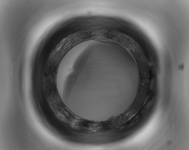 X0000097970143200804071108