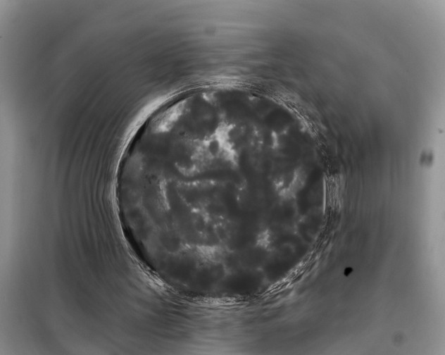 X0000097970147200804071107