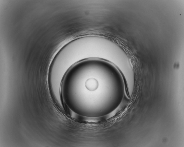 X0000097970148200804071107