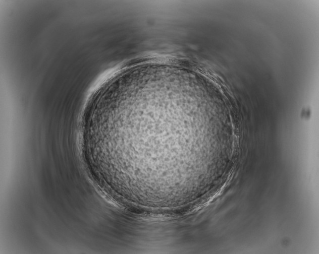 X0000097970149200804071107