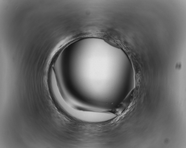 X0000097970150200804071107