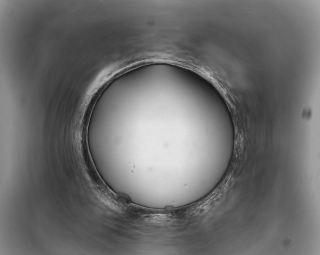 X0000097970151200804071107