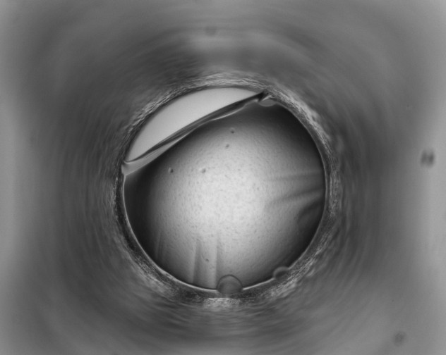 X0000097970153200804071107