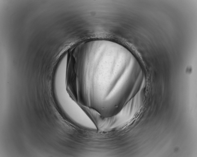 X0000097970154200804071107