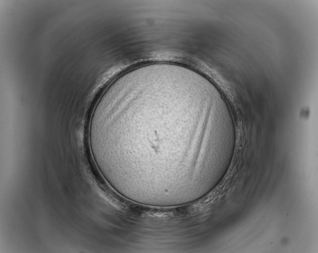X0000097970155200804071107