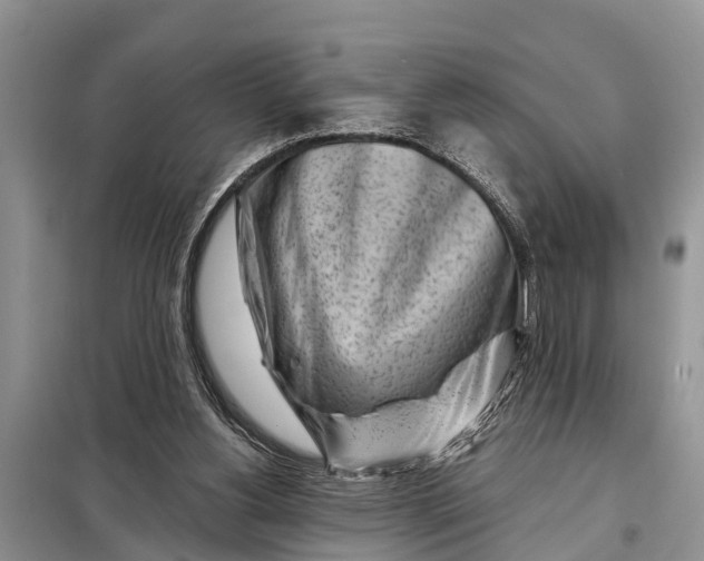 X0000097970156200804071107