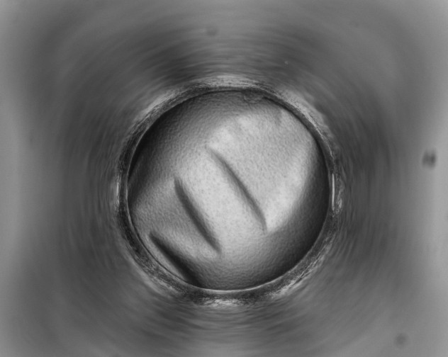 X0000097970157200804071107