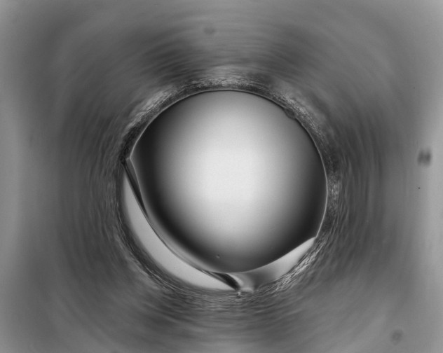 X0000097970158200804071107