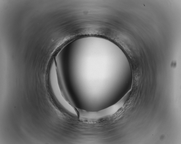 X0000097970160200804071107