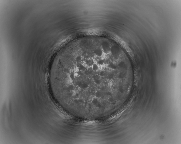 X0000097970161200804071107