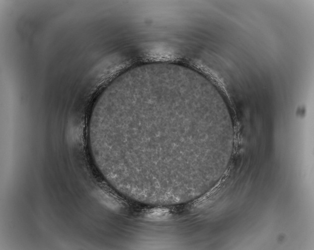 X0000097970162200804071107