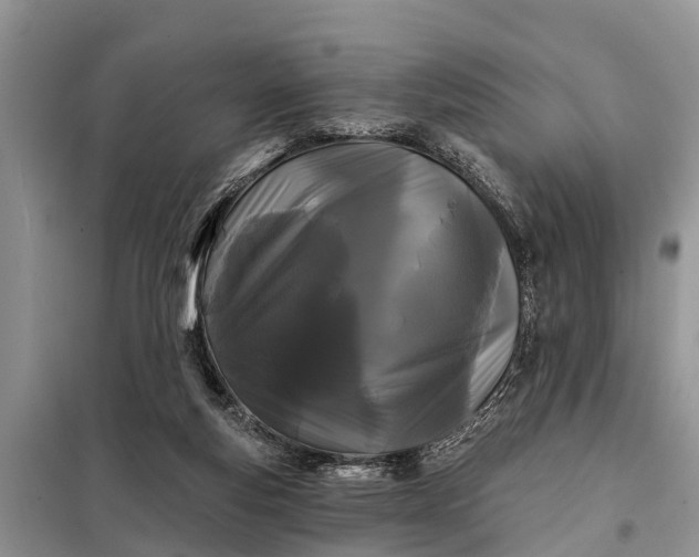 X0000097970163200804071107