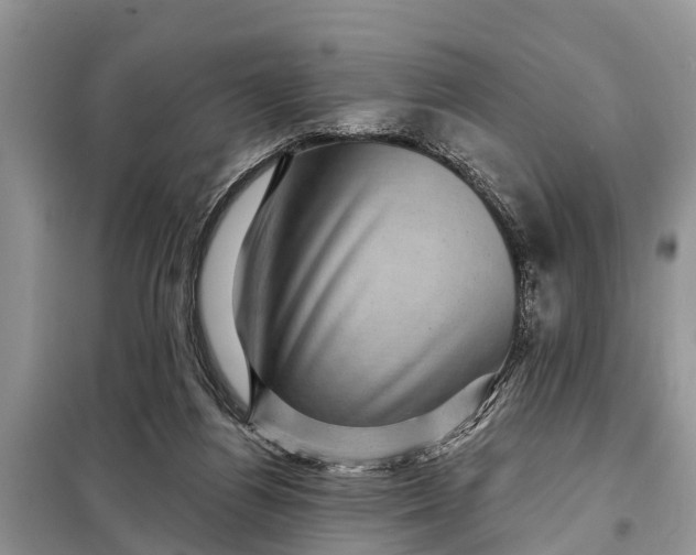X0000097970164200804071107