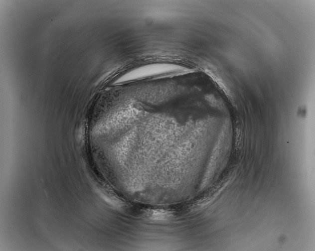X0000097970165200804071107
